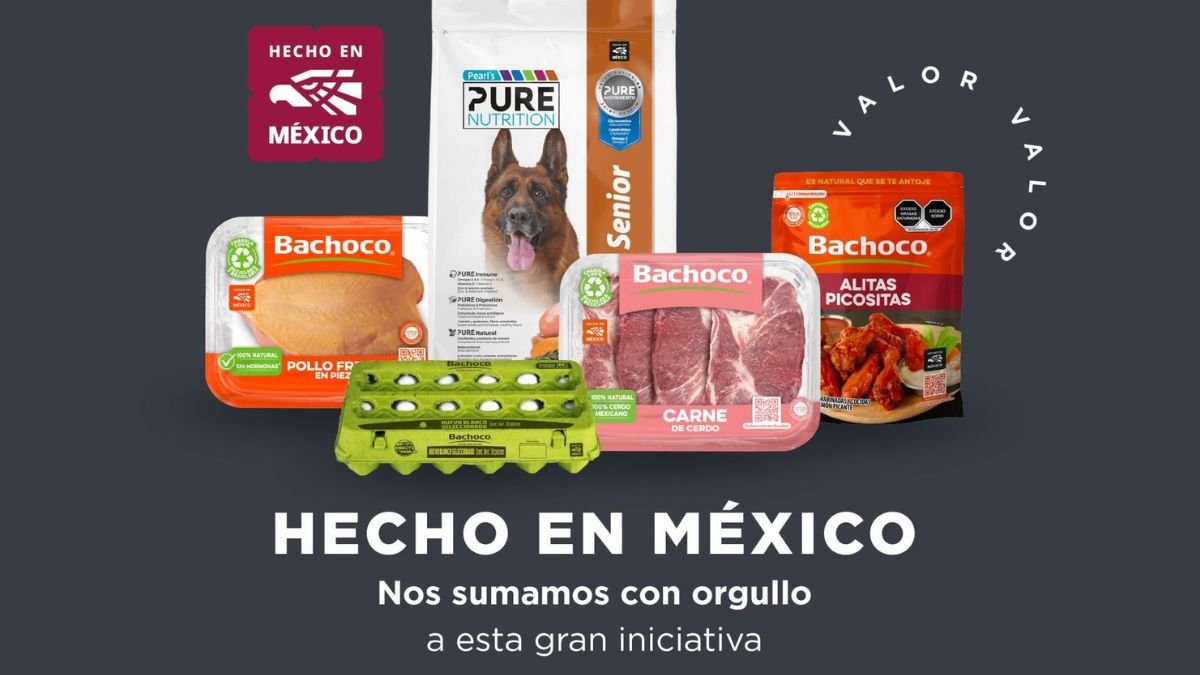 WhatsApp Image 2025-07-30 at 7.11.28 AM