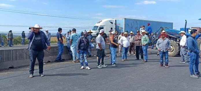 WhatsApp Image 2025-10-21 at 21.24.13