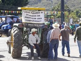 Crisis en el campo mexicano: productores alzan la voz