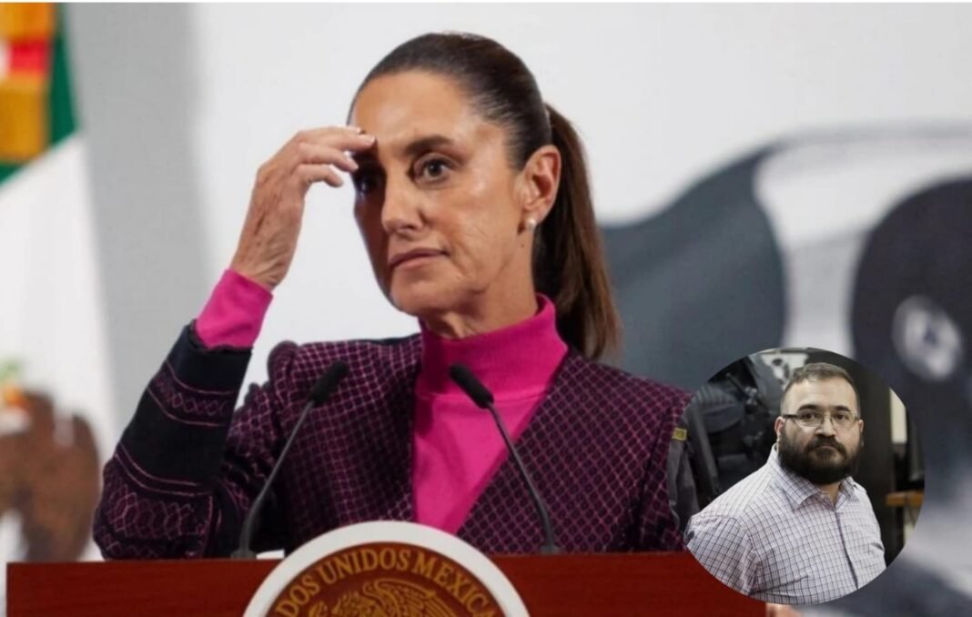 WhatsApp Image 2025-11-13 at 10.01.38