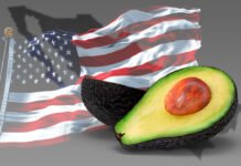 Trump elimina aranceles a aguacate y otros productos agropecuarios
