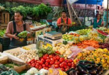 Sector comercial de Veracruz cierra octubre de 2025 con claroscuros: cae el comercio al por mayor