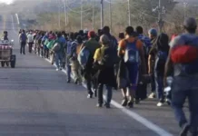 El 66% de migrantes que no pudieron cruzar a EE.UU. buscan establecerse en México