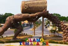 Se desploma ‘El Colotero’, monumento símbolo de Álamo Temapache