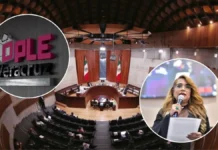 Sala Superior del TEPJF anula elección en Tamiahua; candidata del PVEM rebasó topes de campaña