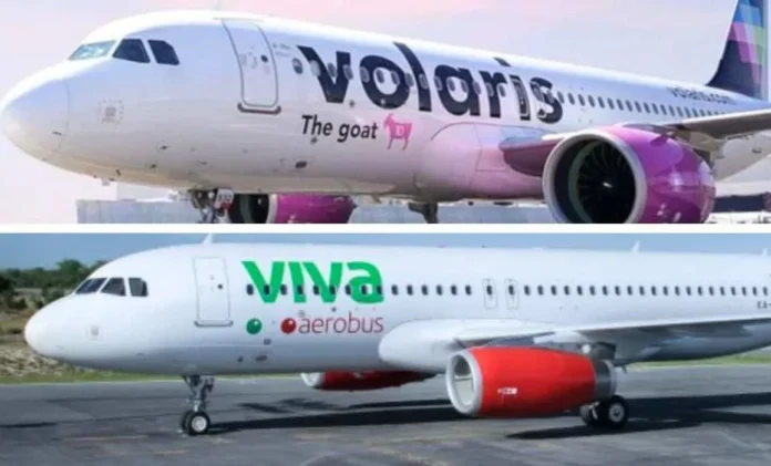 vivaxvolaris