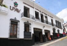 Hay órdenes de aprehensión contra exfuncionarios de la SEV por investigaciones en la UPAV: Nahle confirma avances en el caso