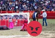 Ixhuatlancillo: alcalde del PT promueve y festeja maltrato animal; crece exigencia de castigo a autoridades municipales