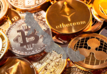 Veracruz, lugar 24 en adopción de criptomonedas: solo 6 % las usa