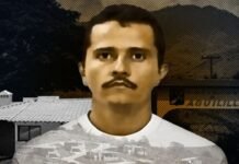 Fuerzas Federales Abaten a El Mencho CJNG en Operativo Histórico; ¿qué es lo que se sabe?