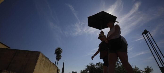 62d19ffa9187e.r_d.1397-1086