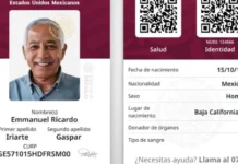 Credencial de Salud Universal será una realidad en México: ¿qué es, cómo funcionará y qué representa para la atención médica?