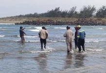 Derrame de hidrocarburo contamina más de 50 kilómetros de costa en el sur de Veracruz y activa alerta ambiental