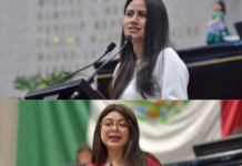 Tres diputadas se colocan entre los legisladores más activos del Congreso de Veracruz