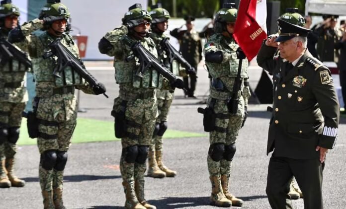 500452dd246486997821c5d02a04ea16