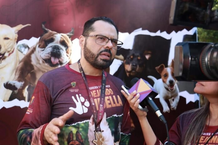 Gobierno-de-Veracruz-trabaja-en-una-estrategia-de-bienestar-animal